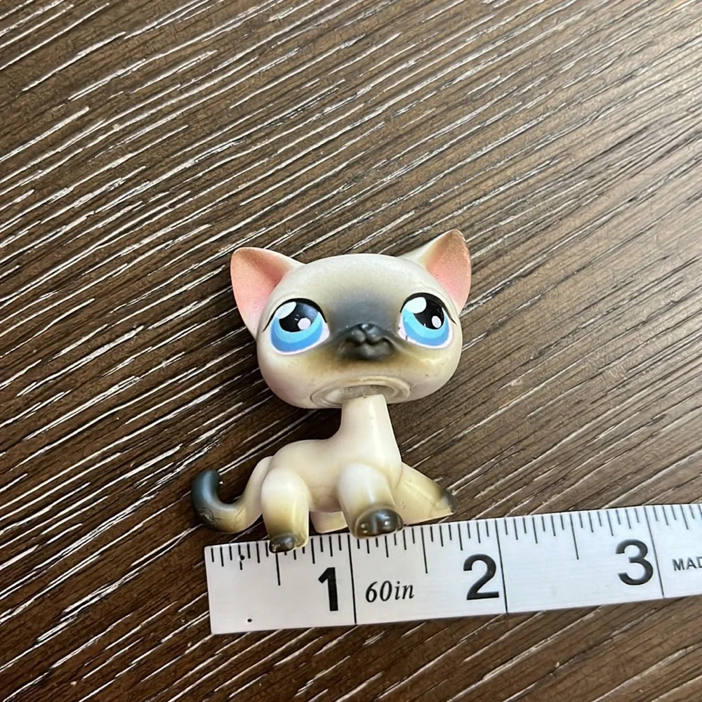 Littlest Pet Shop Hasbro retired Siamese cat #5 gray and white blue eyes rare